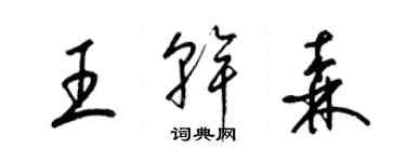 梁錦英王乾森草書個性簽名怎么寫