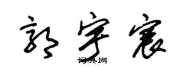 朱錫榮郭宇宸草書個性簽名怎么寫