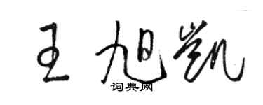 駱恆光王旭凱草書個性簽名怎么寫