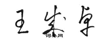 駱恆光王成卓草書個性簽名怎么寫