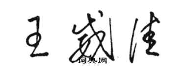 駱恆光王威佳草書個性簽名怎么寫