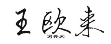 駱恆光王歐來行書個性簽名怎么寫