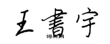 王正良王書宇行書個性簽名怎么寫