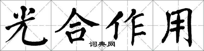 翁闓運光合作用楷書怎么寫