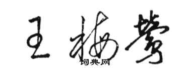 駱恆光王梅鶯草書個性簽名怎么寫