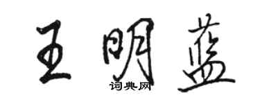 駱恆光王明藍行書個性簽名怎么寫