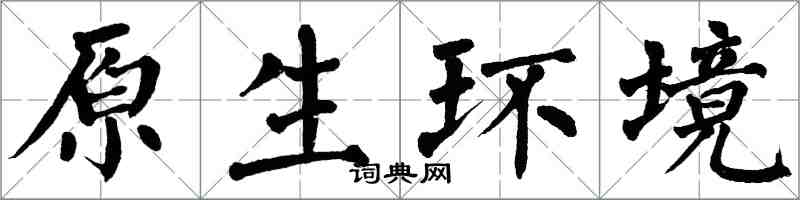 翁闓運原生環境楷書怎么寫