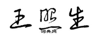 曾慶福王照生草書個性簽名怎么寫