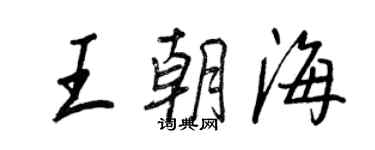 王正良王朝海行書個性簽名怎么寫