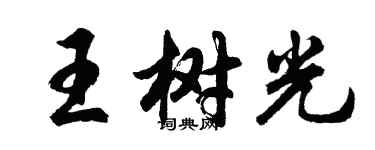 胡問遂王樹光行書個性簽名怎么寫