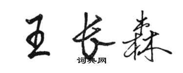 駱恆光王長森行書個性簽名怎么寫