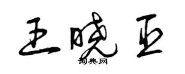 曾慶福王曉臣草書個性簽名怎么寫