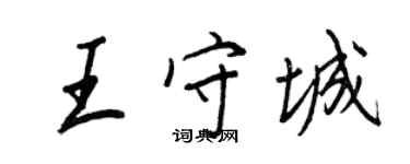 王正良王守城行書個性簽名怎么寫