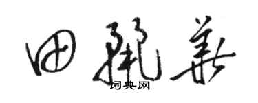駱恆光田麗華草書個性簽名怎么寫