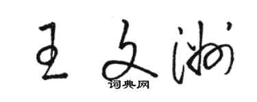 駱恆光王文洲草書個性簽名怎么寫