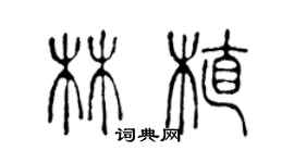 陳聲遠林植篆書個性簽名怎么寫