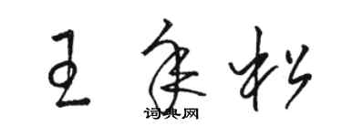 駱恆光王年松草書個性簽名怎么寫