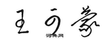 駱恆光王可蒙草書個性簽名怎么寫