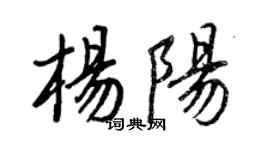 王正良楊陽行書個性簽名怎么寫