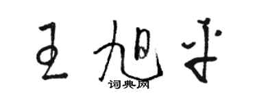 駱恆光王旭平草書個性簽名怎么寫