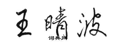 駱恆光王晴波行書個性簽名怎么寫