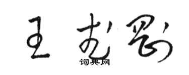 駱恆光王武剛草書個性簽名怎么寫