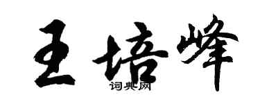 胡問遂王培峰行書個性簽名怎么寫