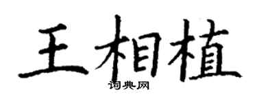 丁謙王相植楷書個性簽名怎么寫