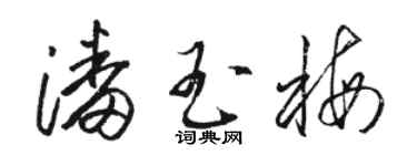 駱恆光潘玉梅草書個性簽名怎么寫