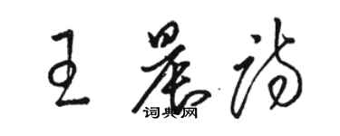駱恆光王晨詩草書個性簽名怎么寫