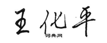 駱恆光王化平行書個性簽名怎么寫