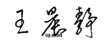 駱恆光王晨靜草書個性簽名怎么寫