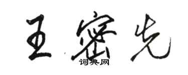 駱恆光王密先行書個性簽名怎么寫