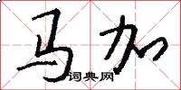 馬加怎么寫好看