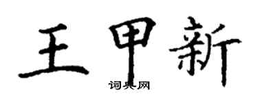 丁謙王甲新楷書個性簽名怎么寫