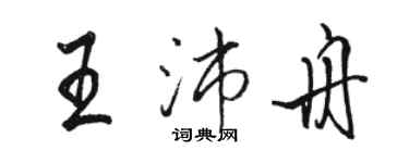 駱恆光王沛舟行書個性簽名怎么寫