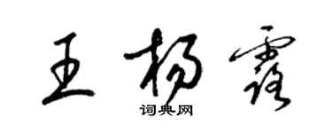 梁錦英王楊露草書個性簽名怎么寫