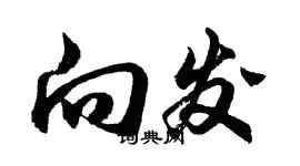 胡問遂向發行書個性簽名怎么寫