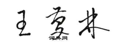 駱恆光王慶林草書個性簽名怎么寫