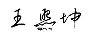 梁錦英王照坤草書個性簽名怎么寫