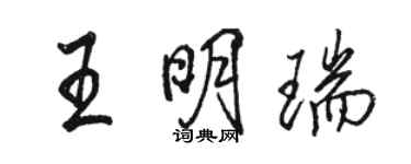 駱恆光王明瑞行書個性簽名怎么寫