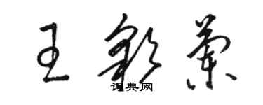 駱恆光王彩蘭草書個性簽名怎么寫