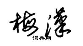 朱錫榮梅漢草書個性簽名怎么寫