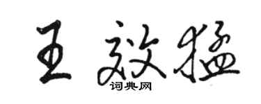 駱恆光王效猛行書個性簽名怎么寫