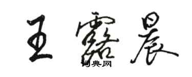 駱恆光王露晨行書個性簽名怎么寫