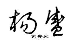 曾慶福楊盛草書個性簽名怎么寫
