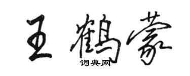 駱恆光王鶴蒙行書個性簽名怎么寫