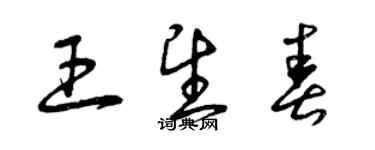 曾慶福王望春草書個性簽名怎么寫