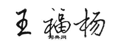 駱恆光王福楊行書個性簽名怎么寫