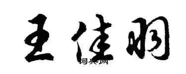 胡問遂王佳羽行書個性簽名怎么寫